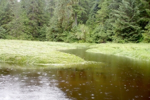 Au fil de l'eau