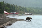 Alaska Katmai  22  36